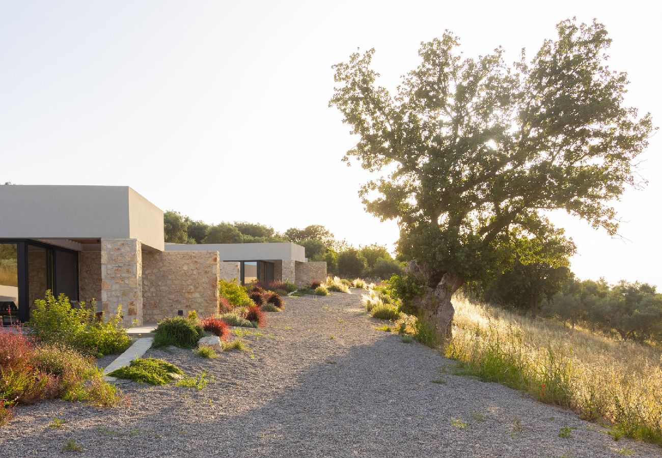 House in Amfilochia - THEROS CITRUS (3 BED)