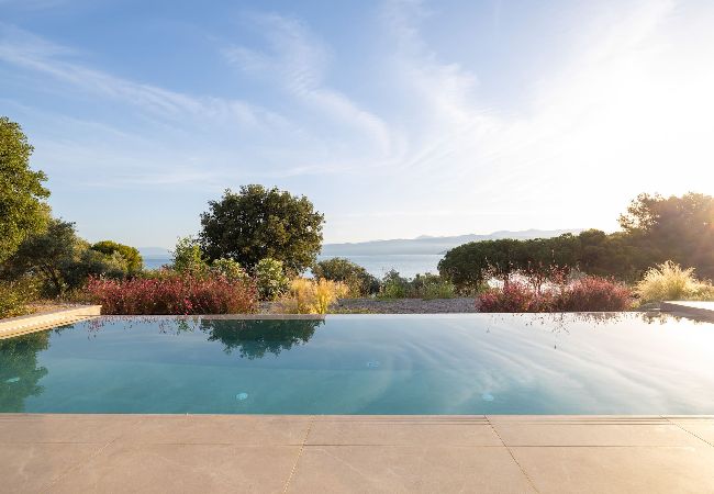 House in Amfilochia - THEROS DAFNI (2 BED)