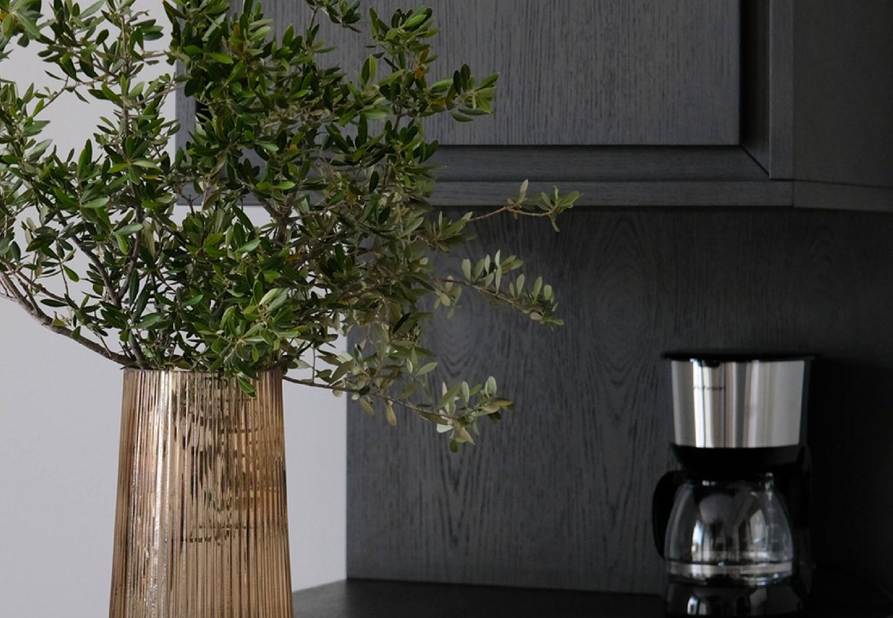 House in Lefkada - SCIROCCO ARGOS (1 BED)