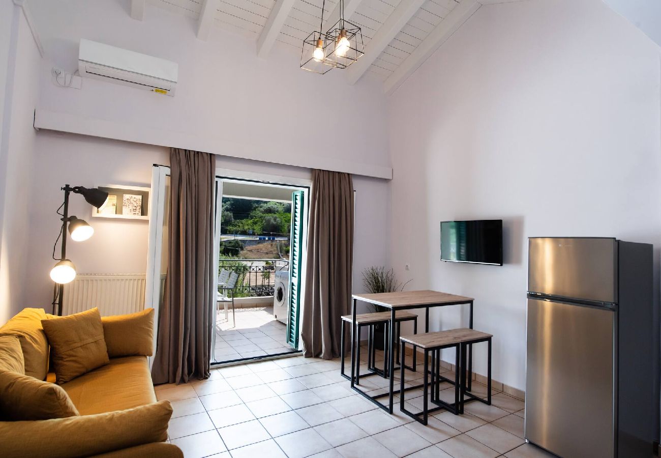 Apartment in Vasiliki - DRAKATOS X APARTMENT