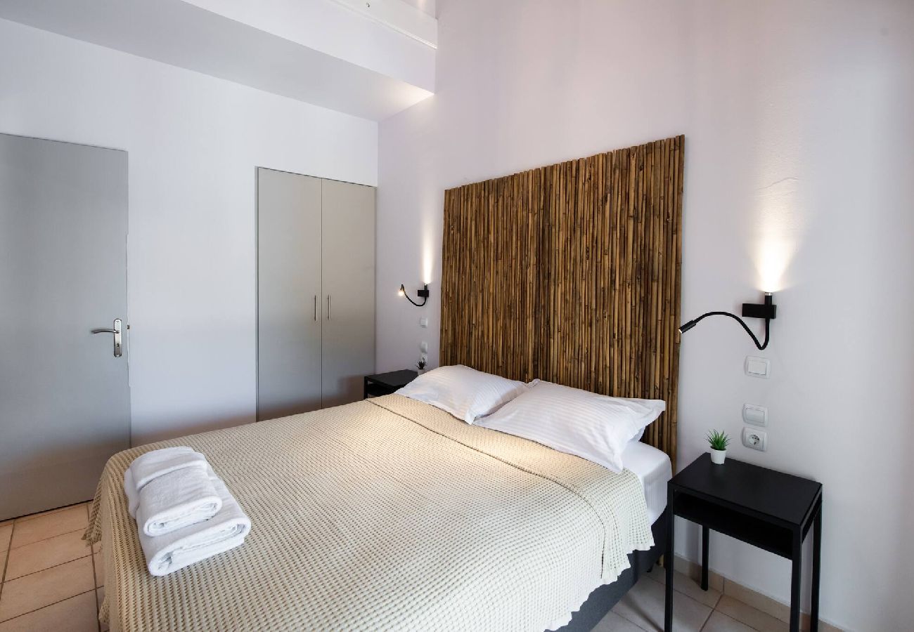 Apartment in Vasiliki - DRAKATOS X APARTMENT