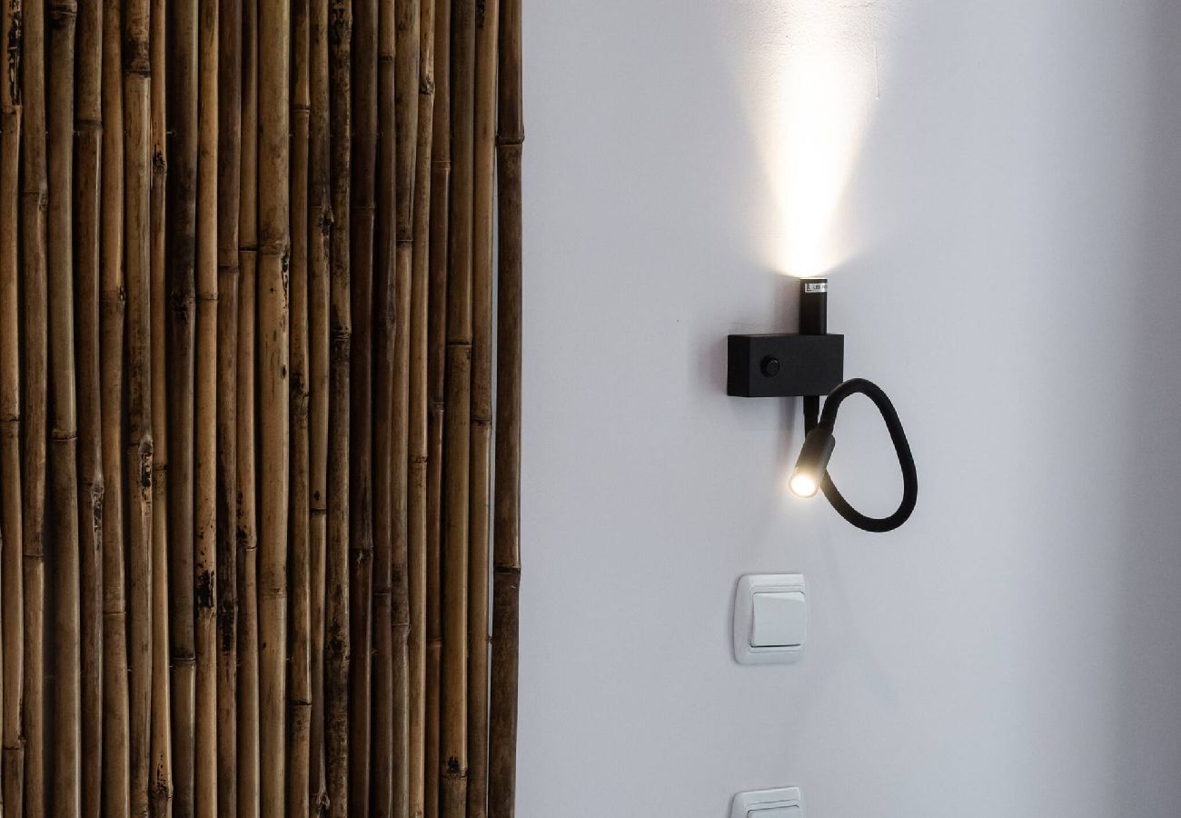 Apartment in Vasiliki - DRAKATOS X APARTMENT