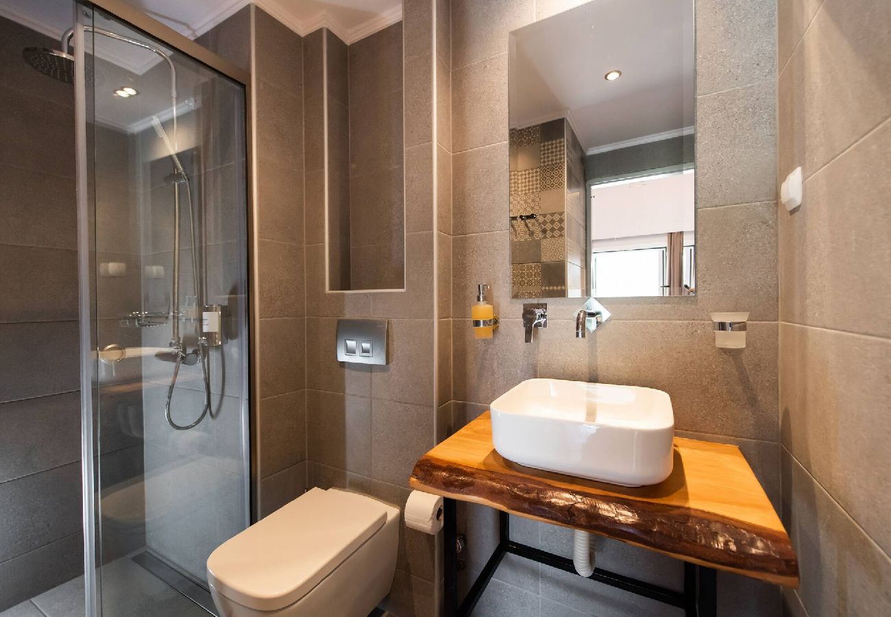 Apartment in Vasiliki - DRAKATOS X APARTMENT