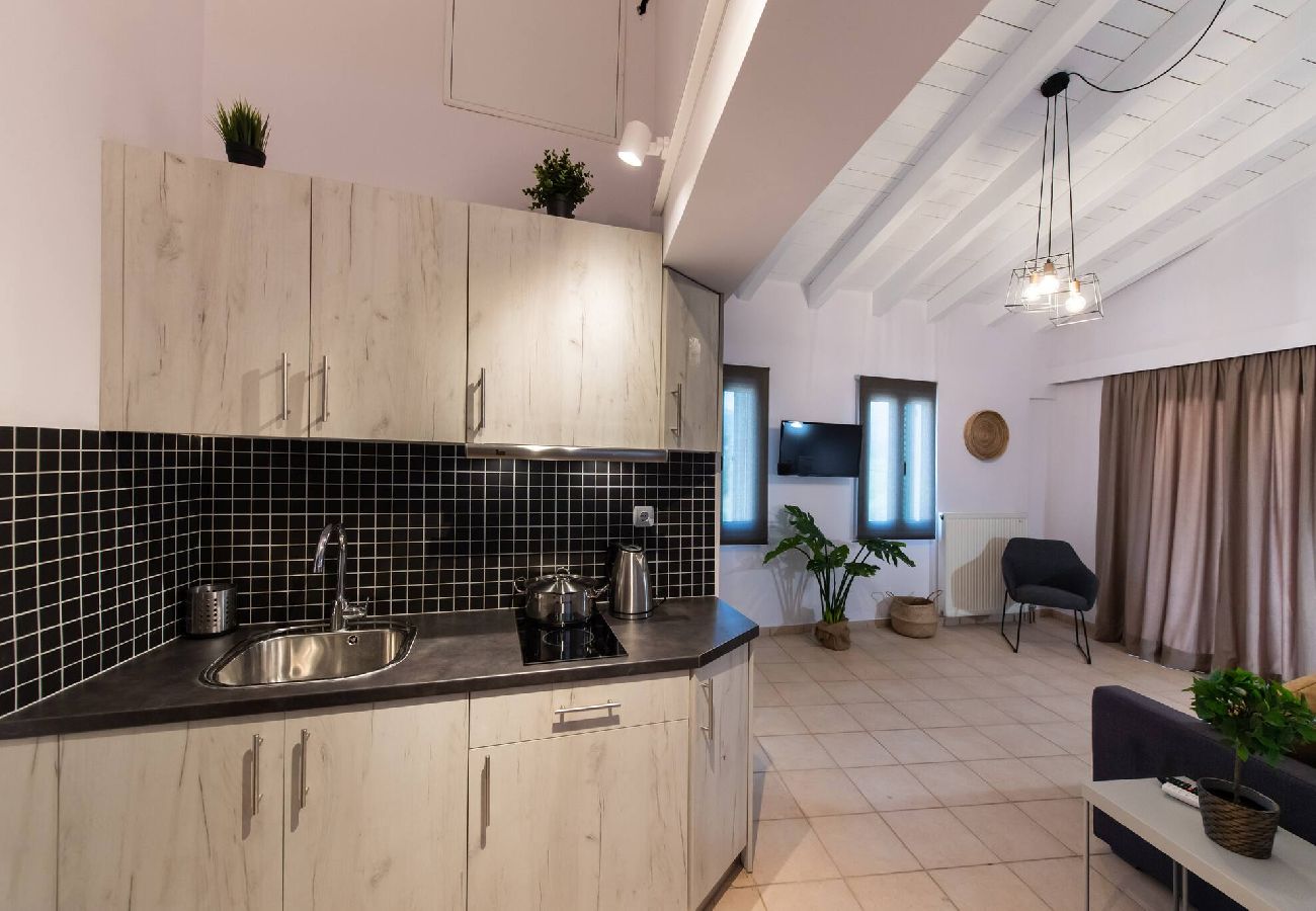 Apartment in Vasiliki - DRAKATOS Z APARTMENT