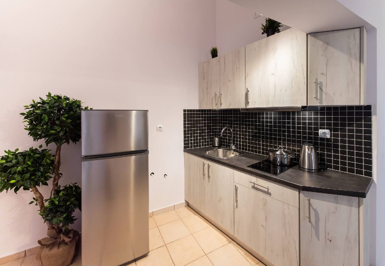 Apartment in Vasiliki - DRAKATOS Z APARTMENT