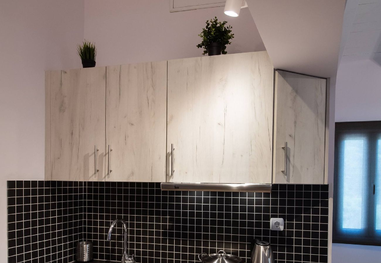 Apartment in Vasiliki - DRAKATOS Z APARTMENT