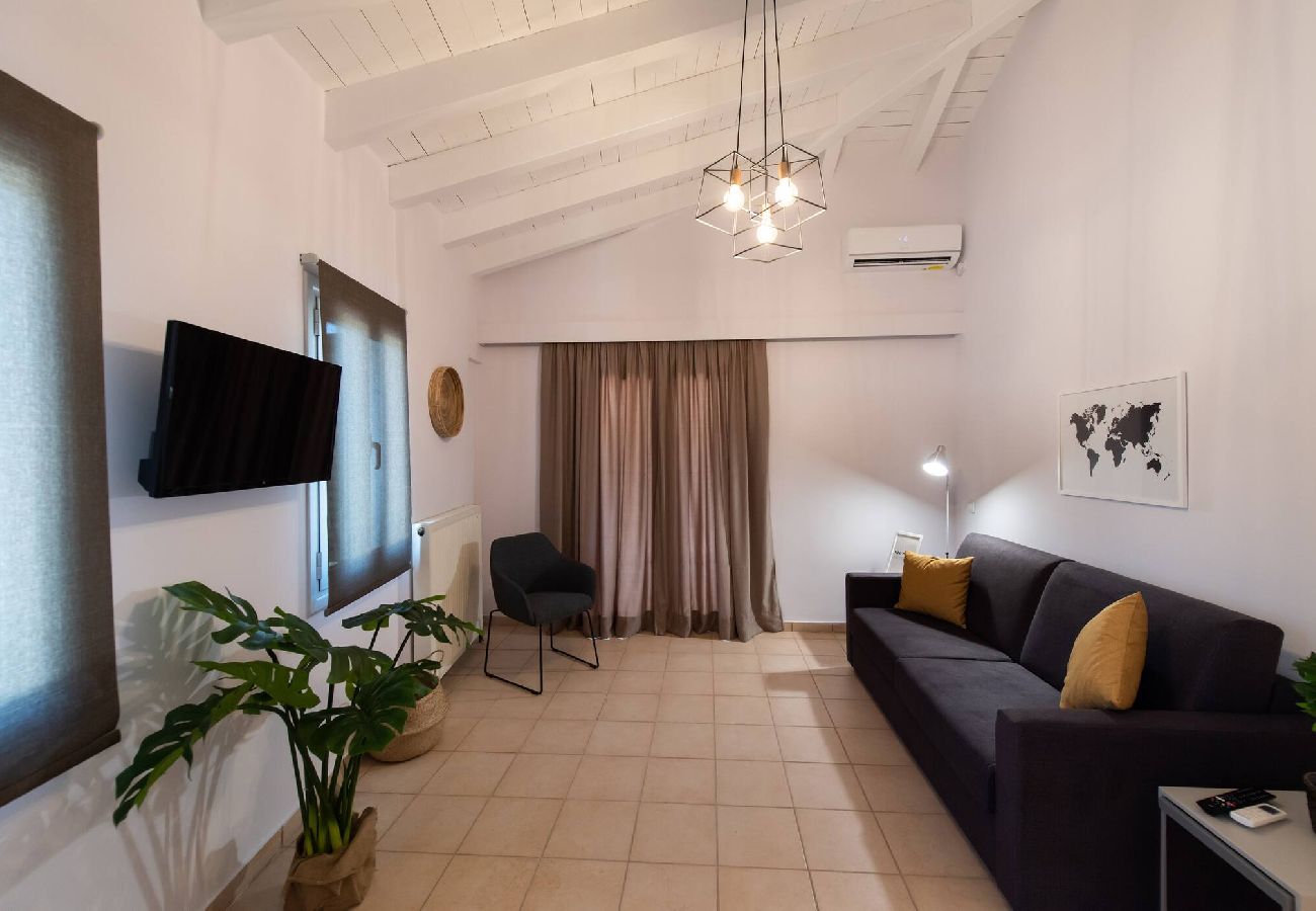 Apartment in Vasiliki - DRAKATOS Z APARTMENT