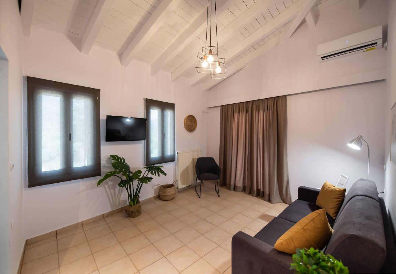 Apartment in Vasiliki - DRAKATOS Z APARTMENT