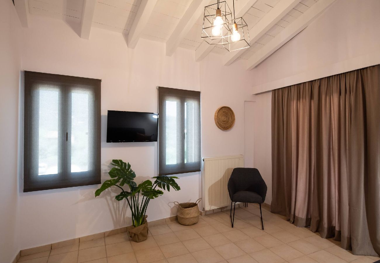 Apartment in Vasiliki - DRAKATOS Z APARTMENT