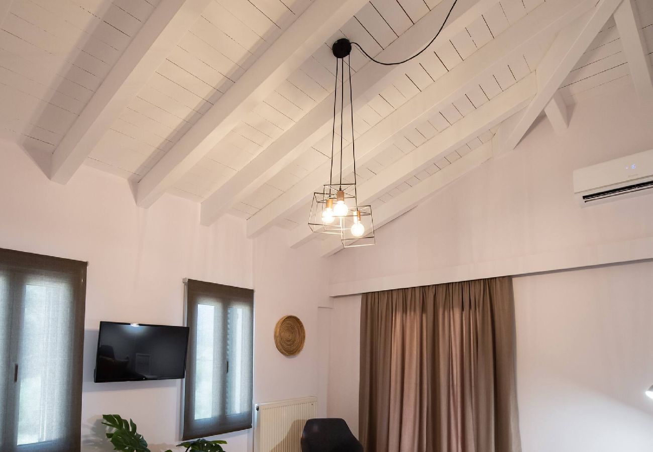 Apartment in Vasiliki - DRAKATOS Z APARTMENT