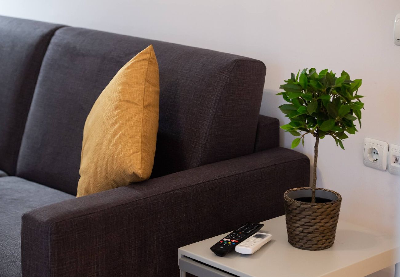 Apartment in Vasiliki - DRAKATOS Z APARTMENT