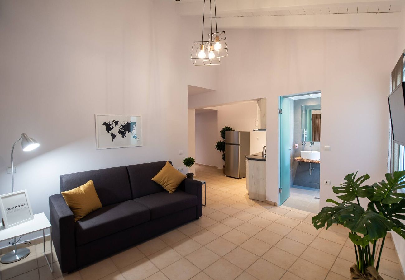 Apartment in Vasiliki - DRAKATOS Z APARTMENT