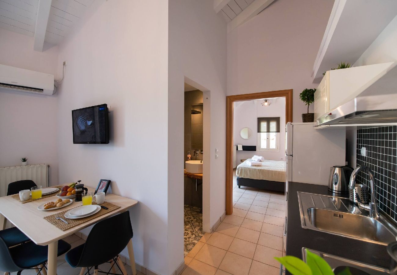 Apartment in Vasiliki - DRAKATOS K APARTMENT