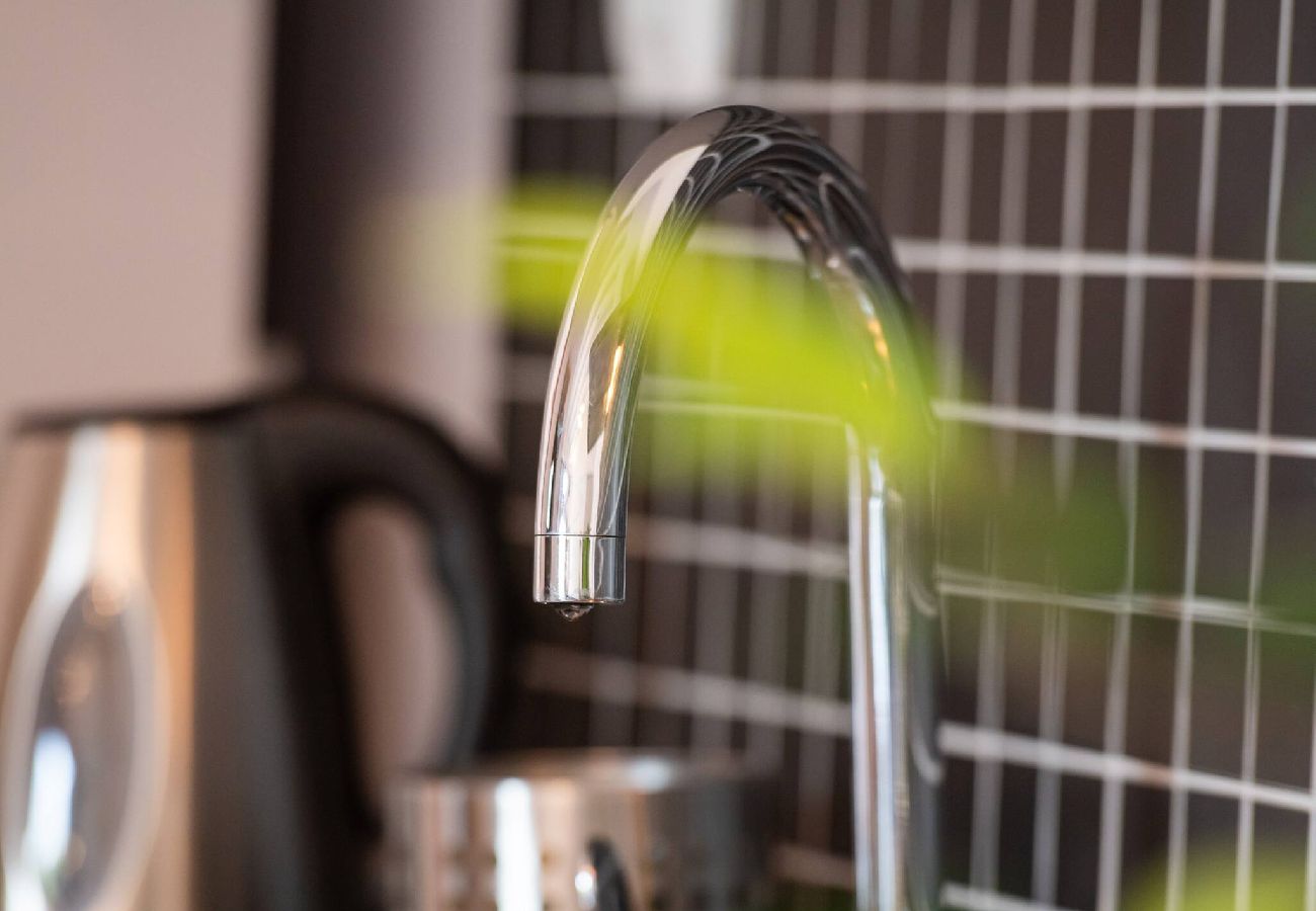 Apartment in Vasiliki - DRAKATOS K APARTMENT