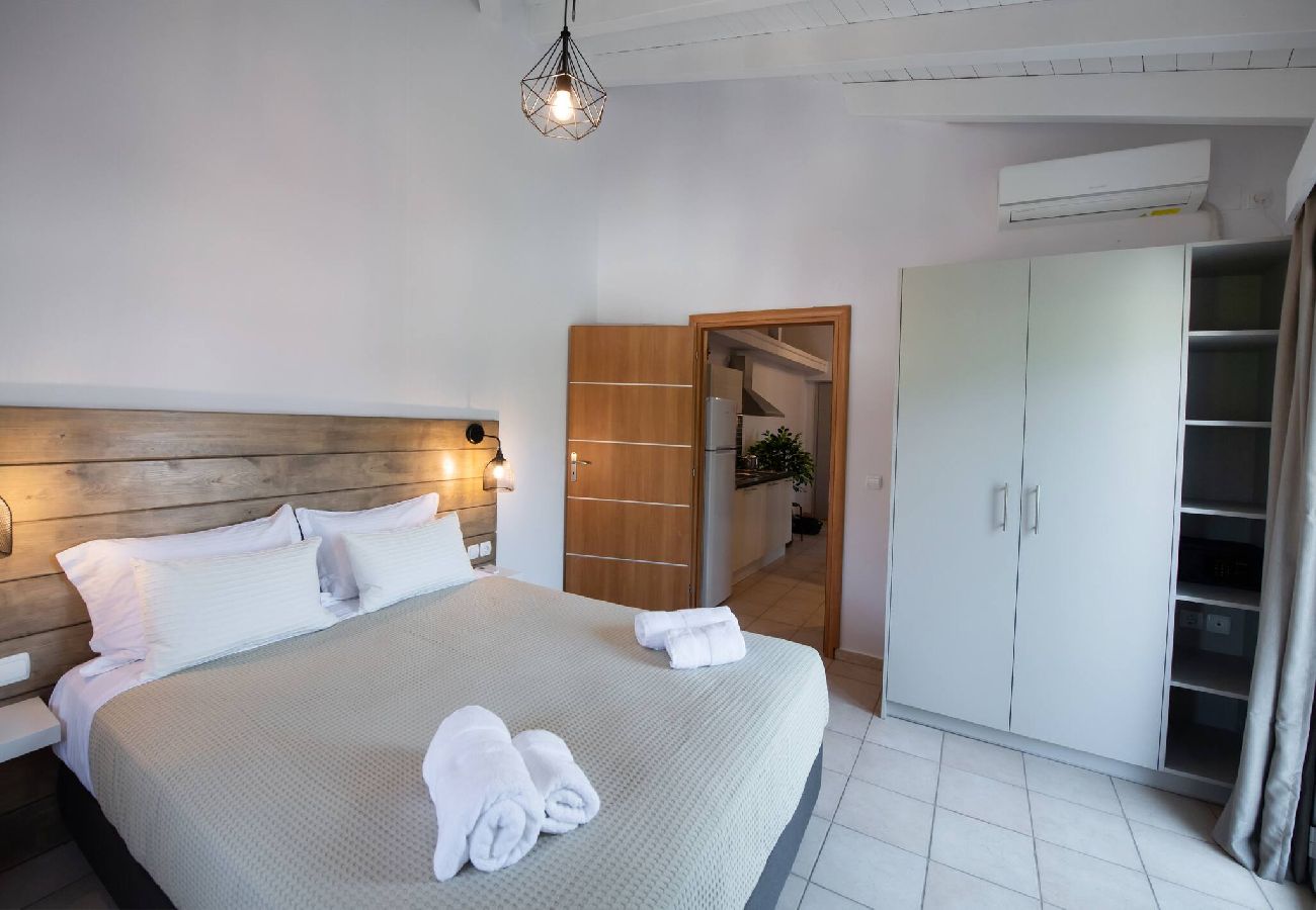 Apartment in Vasiliki - DRAKATOS K APARTMENT