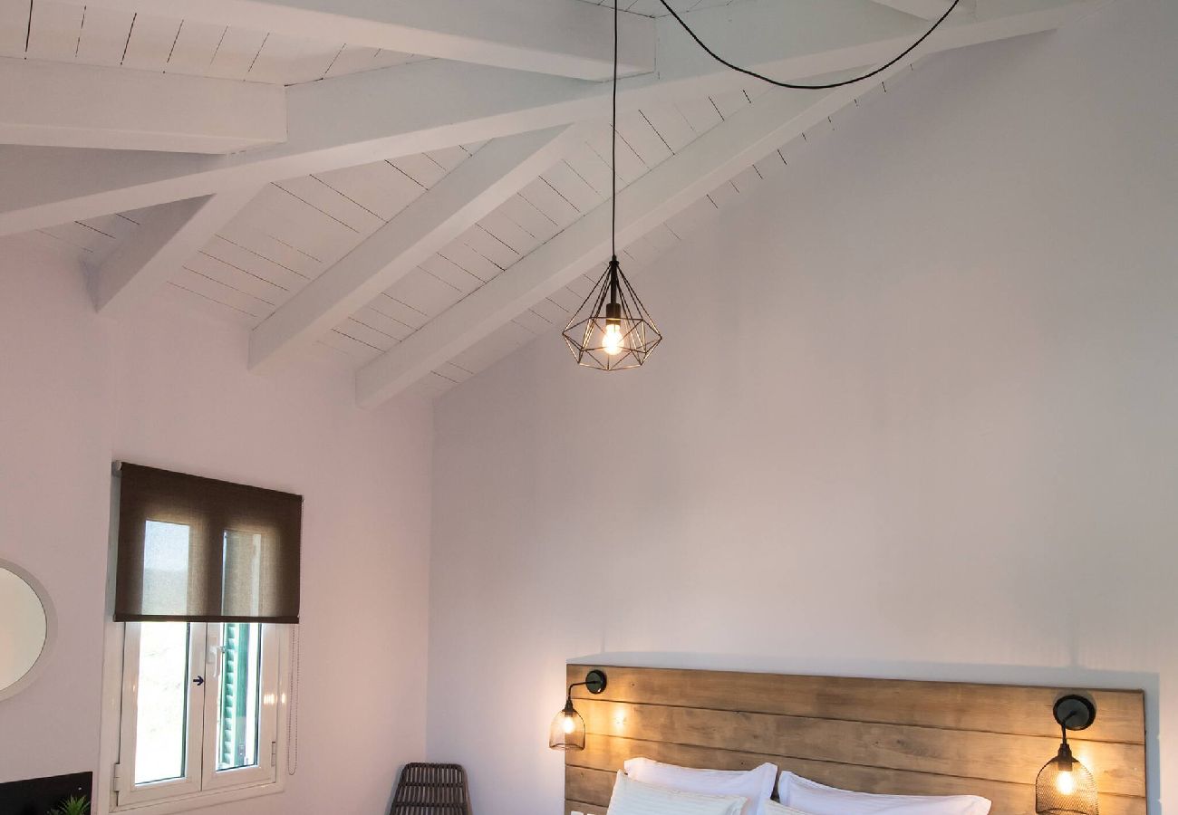 Apartment in Vasiliki - DRAKATOS K APARTMENT