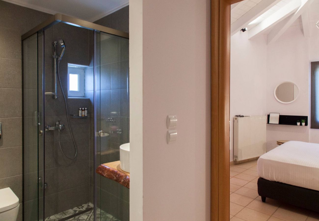 Apartment in Vasiliki - DRAKATOS K APARTMENT